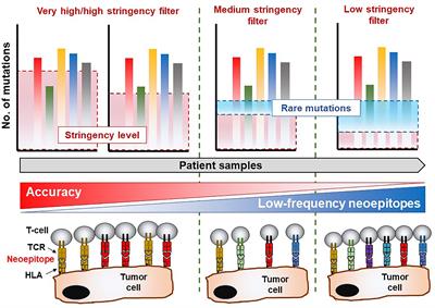 Targeting Neoepitopes to Treat Solid Malignancies: Immunosurgery